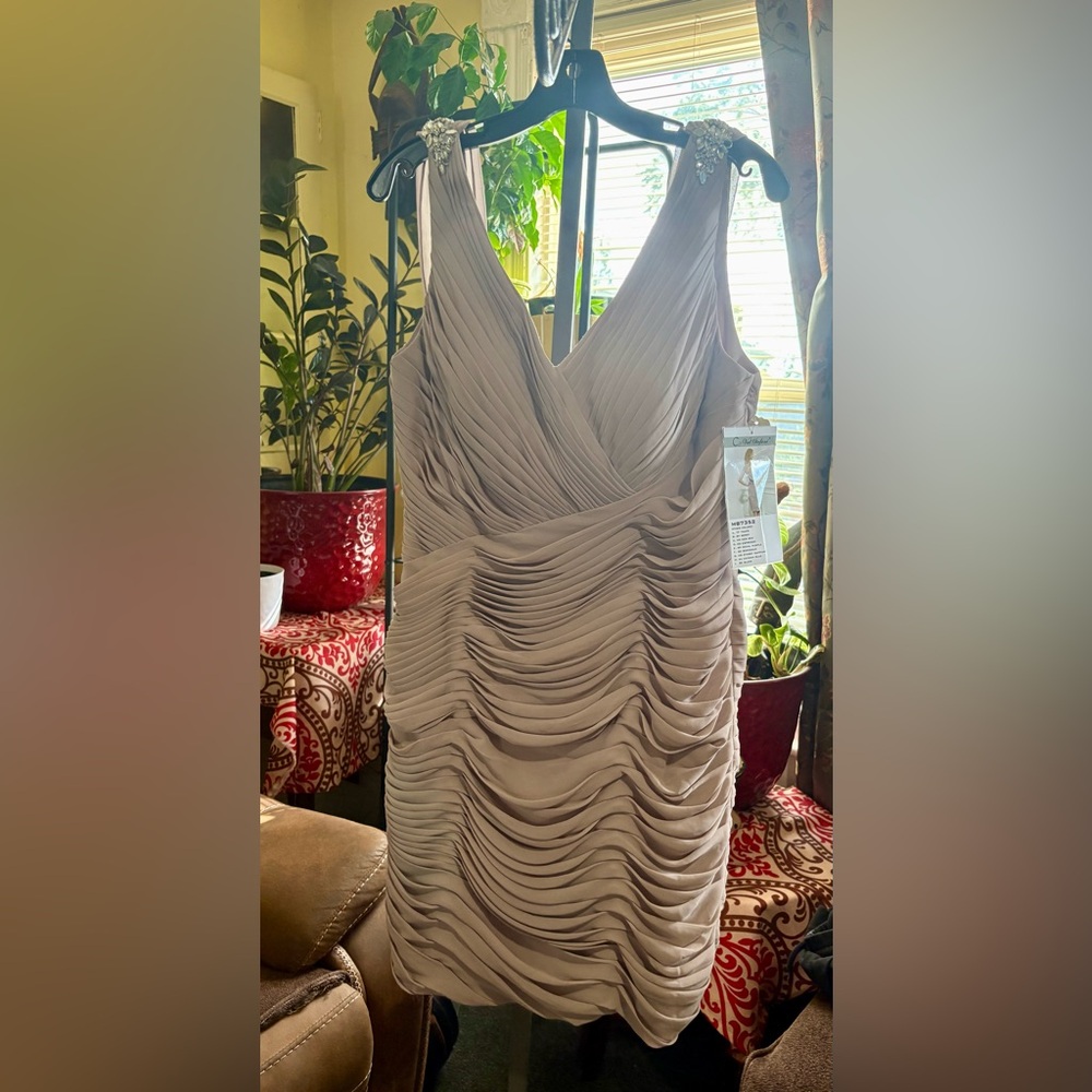 Val Stefani Beige Ruched Mini Dress